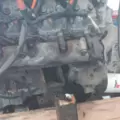 GM/CHEV 6.6D Engine Assembly thumbnail 14