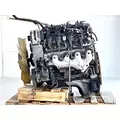 GM/Chev (HD) 4.8 Engine Assembly thumbnail 8