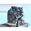 GM/Chev (HD) 5.7L Engine Assembly thumbnail 5
