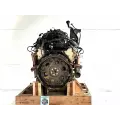 GM/Chev (HD) 6.0L Engine Assembly thumbnail 6