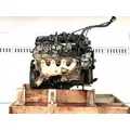 GM/Chev (HD) 6.0L Engine Assembly thumbnail 6