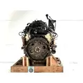 GM/Chev (HD) 6.0L Engine Assembly thumbnail 8