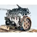 GM/Chev (HD) 6.0L Engine Assembly thumbnail 10