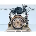 GM/Chev (HD) 6.0L Engine Assembly thumbnail 9