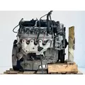 GM/Chev (HD) 6.0L Engine Assembly thumbnail 3