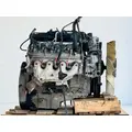 GM/Chev (HD) 6.0L Engine Assembly thumbnail 3