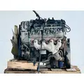 GM/Chev (HD) 6.0L Engine Assembly thumbnail 1