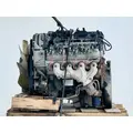 GM/Chev (HD) 6.0L Engine Assembly thumbnail 5