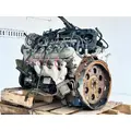 GM/Chev (HD) 6.0L Engine Assembly thumbnail 2