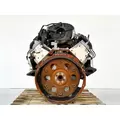 GM/Chev (HD) 6.0L Engine Assembly thumbnail 10