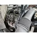 GM/Chev (HD) 6.0L Engine Assembly thumbnail 1