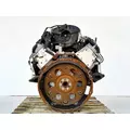 GM/Chev (HD) 6.0L Engine Assembly thumbnail 6