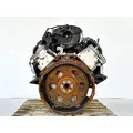 GM/Chev (HD) 6.0L Engine Assembly thumbnail 6