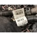 GM/Chev (HD) 6.0L Wire Harness, Transmission thumbnail 3