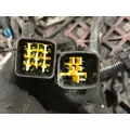 GM/Chev (HD) 6.0L Wire Harness, Transmission thumbnail 4