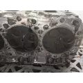 GM/Chev (HD) 6.6L DURAMAX Cylinder Head thumbnail 8