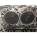 GM/Chev (HD) 6.6L DURAMAX Cylinder Head thumbnail 7