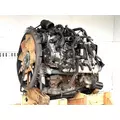 GM/Chev (HD) 6.6L DURAMAX Engine Assembly thumbnail 8