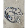 GM/Chev (HD) 6.6L DURAMAX Wire Harness, Transmission thumbnail 1