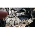 GM/Chev (HD) 7.4 L Engine Assembly thumbnail 4