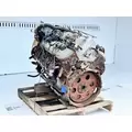 GM/Chev (HD) 8.1L GAS Engine Assembly thumbnail 6