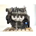 GM/Chev (HD) 8.1L Engine Assembly thumbnail 1
