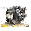 GM/Chev (HD) 8.1L Engine Assembly thumbnail 2