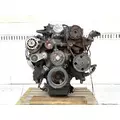 GM/Chev (HD) 8.1L Engine Assembly thumbnail 3