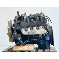 GM/Chev (HD) 8.1L Engine Assembly thumbnail 1