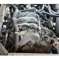 GM/Chev (HD) 8.1L Engine Assembly thumbnail 2