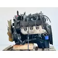 GM/Chev (HD) 8.1L Engine Assembly thumbnail 5