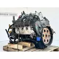 GM/Chev (HD) 8.1L Engine Assembly thumbnail 6