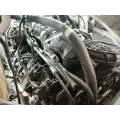 GM/Chev (HD) V8, 4.8L, Gas Engine Assembly thumbnail 3