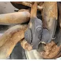 GMC Brigadier Spindle  Knuckle, Front thumbnail 2