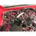 GMC C6500 Body Wiring Harness thumbnail 3