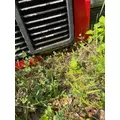 GMC C7 Hood thumbnail 2