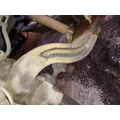 GM 15521976 Axle Beam (Front) thumbnail 3