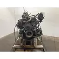 GM 327 Engine Assembly thumbnail 1
