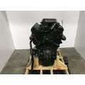 GM 351 Engine Assembly thumbnail 5