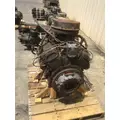 GM 366 V8 GAS ENGINE ASSEMBLY thumbnail 3