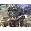 GM 6.0L V8 GAS ENGINE ASSEMBLY thumbnail 3