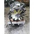 GM 6.0L V8 GAS ENGINE ASSEMBLY thumbnail 3