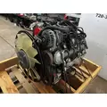 GM 6.0 Engine Assembly thumbnail 4