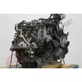 GM 6.6 DURAMAX Engine Assembly thumbnail 8