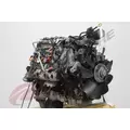 GM 6.6 DURAMAX Engine Assembly thumbnail 8