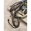 GM 6.6L V8 GAS WIRING HARNESS, ENGINE thumbnail 6