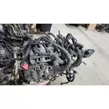 GM 8.1 (Vortec 8100) Engine Assembly thumbnail 6