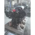 GM 8.1L V8 LP ENGINE ASSEMBLY thumbnail 4