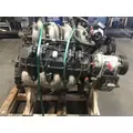 GM 8.1L Engine Assembly thumbnail 3