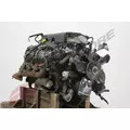 GM 8.1L Engine Assembly thumbnail 7